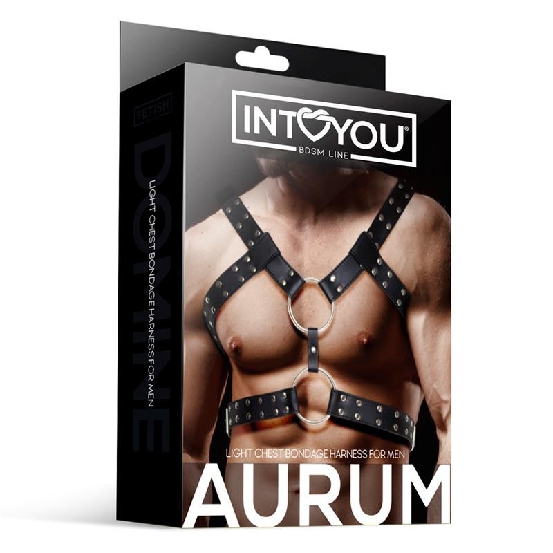 Harness Bondage per Uomo Aurum