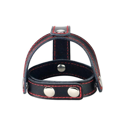 Cock Ring in Pelle Pene e Testicoli Divider