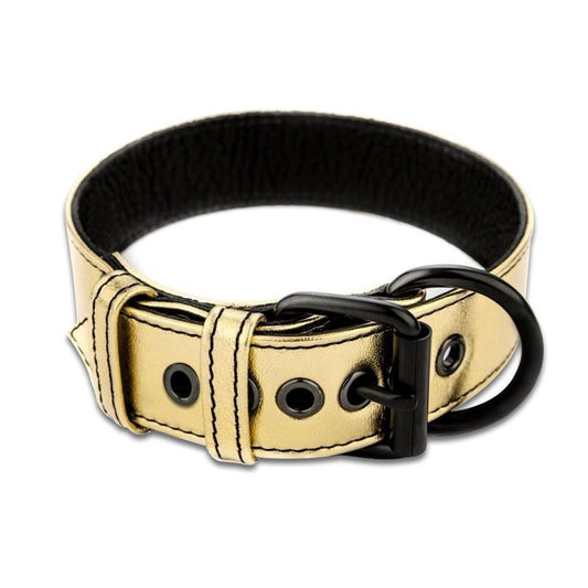 Guinzaglio Bdsm Oro