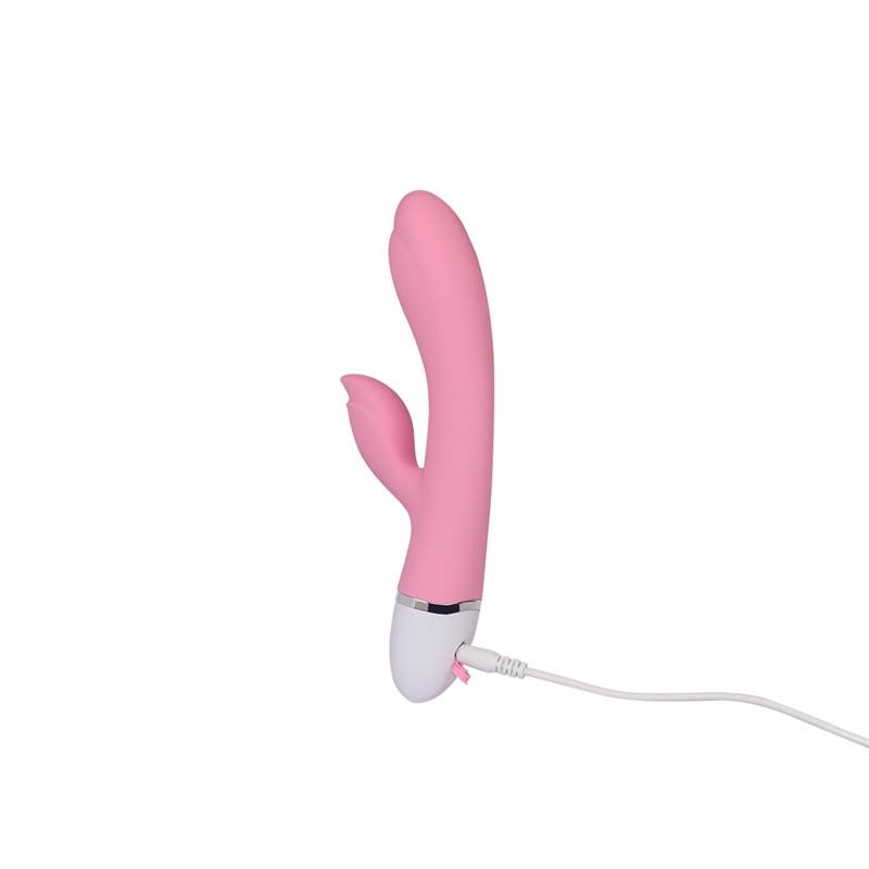 Vibratore Rabbit 20 cm Usb Dreamer 2
