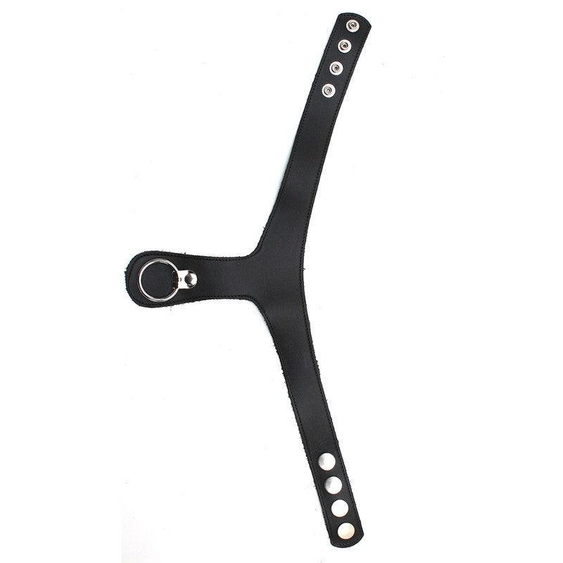 Collare Bdsm con Anello Acciaio