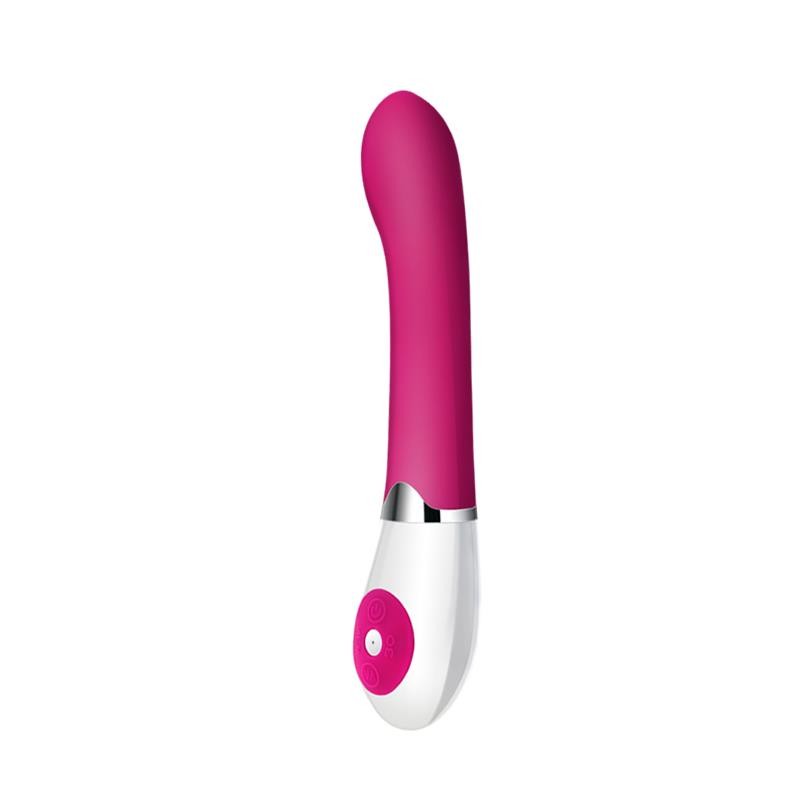 Vibratore Punto G 19 cm Daniel